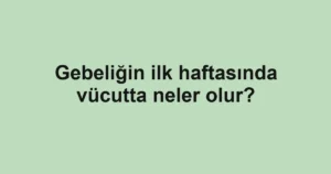 gebeligin-ilk-haftasinda-vucutta-neler-olur